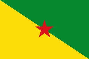 Flag of French Guiana.svg.png