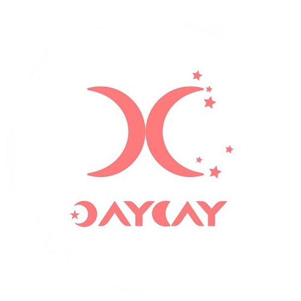 파일:DAYDAY Logo.jpg